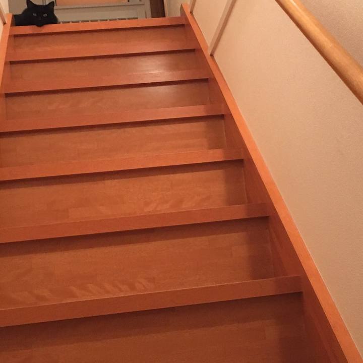 477c8c22 d237 4670 aad8 053c18ab550b