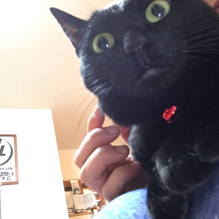 477dc007 42e7 4635 b500 4f9e40c8d037