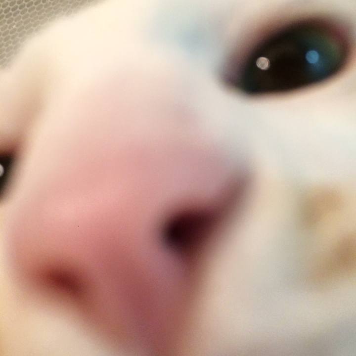 477e3e81 dc5d 49a5 a394 8e9d859d882b