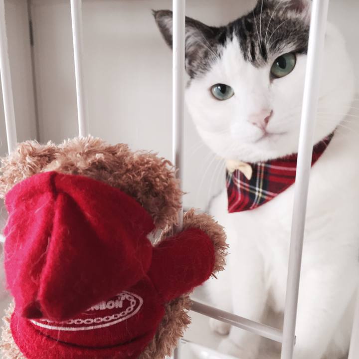 477edc63 8a2b 4a5e bdc5 0de32aa61bbd