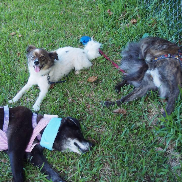 477f0a4b 4065 4b96 9c15 bd3284e38bff