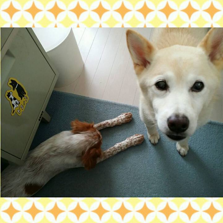 477f4fca 15fe 48dd a7ad 1164d4a4b365