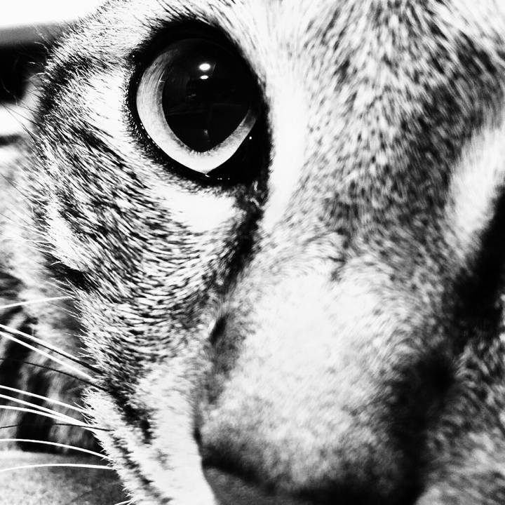 477f57b3 6cfd 4e77 9b7e 3259c23e2765