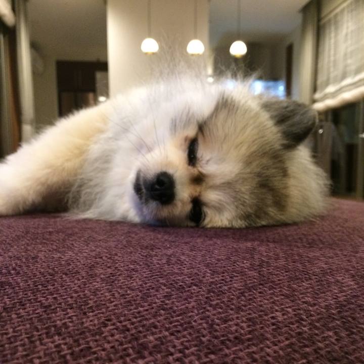 477f9754 f7c7 4901 9142 569d718c111c