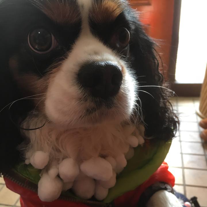 477fe212 f133 42d1 b327 2656d94e0998