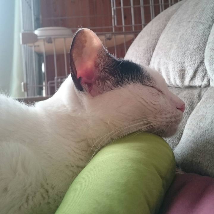 4781c87e 0fda 4858 993b 4bf2afd6fd9b