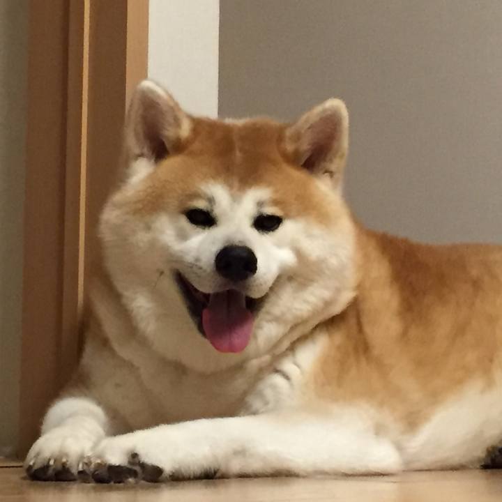 4781d976 4626 443a be74 36cef0541063