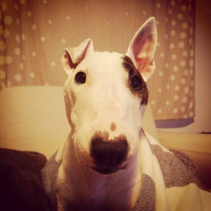 478250a3 a3e3 47d6 9942 aac6dcb8aa8a