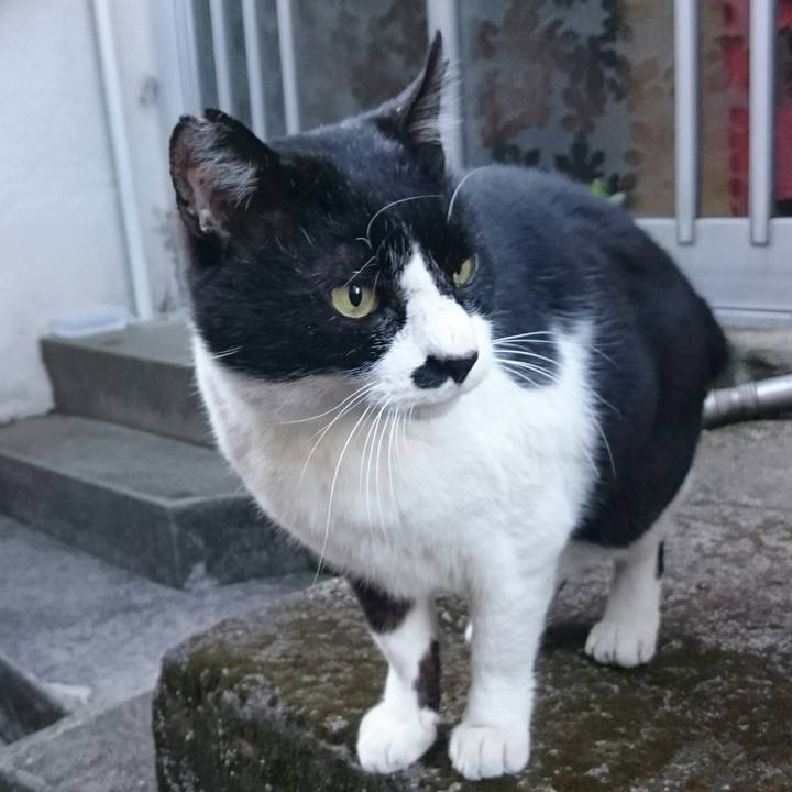 47829408 2558 4299 82cd 7894835d945c