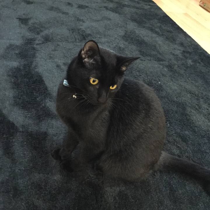 478296be 5908 4782 9bfb 1c1fe8e3c40b