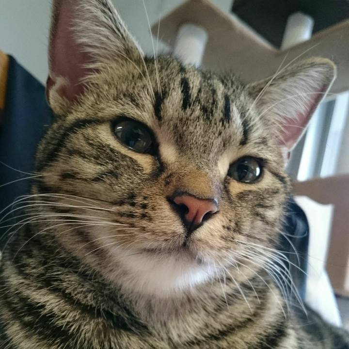 47856d9b b79b 4405 b96f eceb281a720d