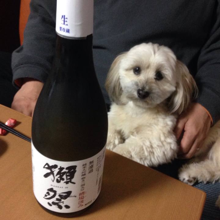 47860b3d 9c1f 4fff 8089 b0e68785aa1c