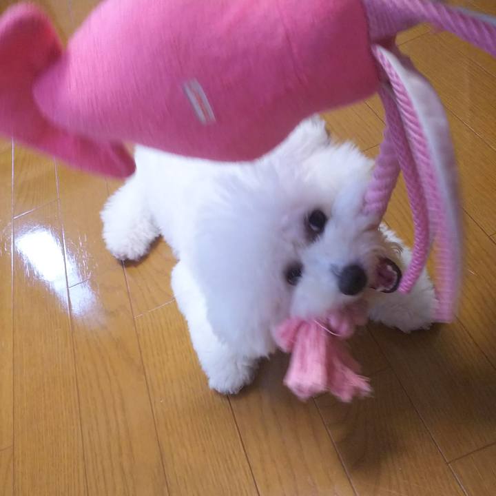 47869f00 239b 453d 8590 94e908cf41f4