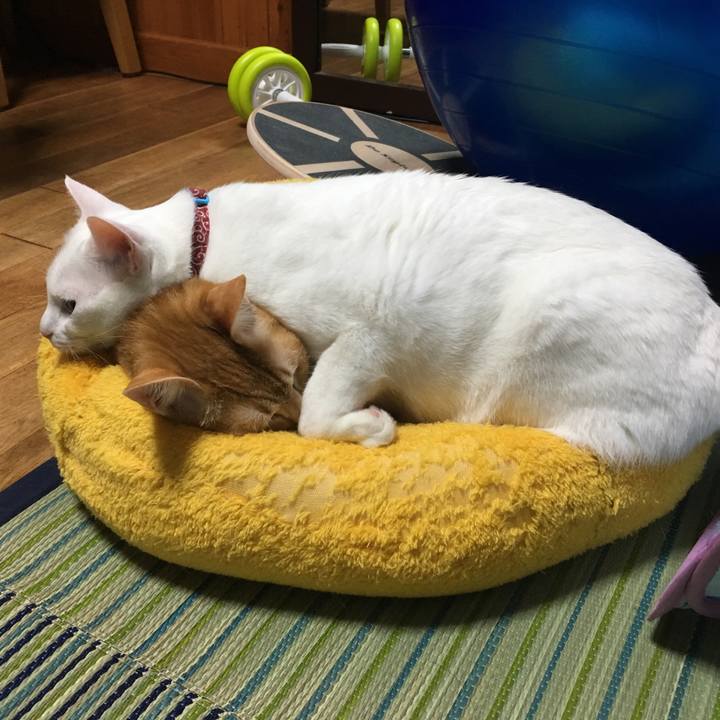 478721a4 9210 45e9 8d9c fcd89830c497