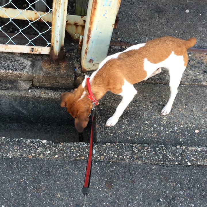 478745de 20c5 4760 bd16 a6124896ba46