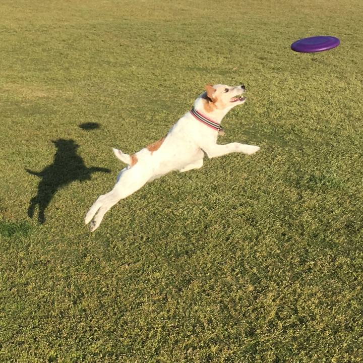 47877b1c e05b 452b 983f 7f02f8069490