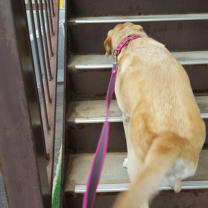 478797b6 51ee 472b 94e5 da6409f7eeca