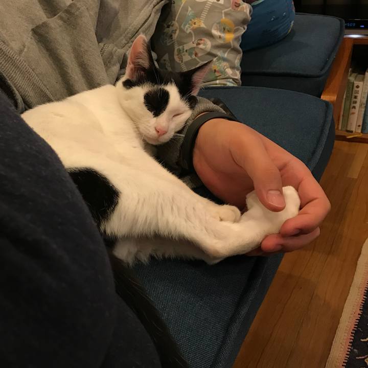 4787c231 9167 4f3e 8286 44f0c14f717e