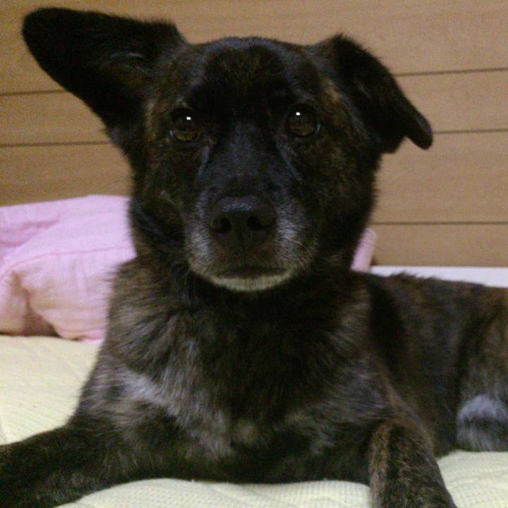 4787f0f2 98a2 45cc bae9 44396f6d6a2c