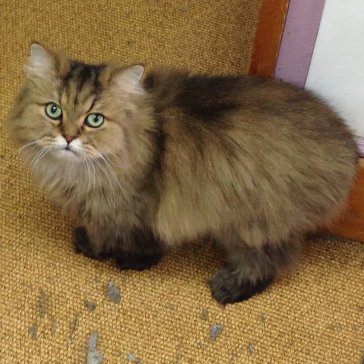 47881a02 16fd 41b2 bffd 5174608ad728