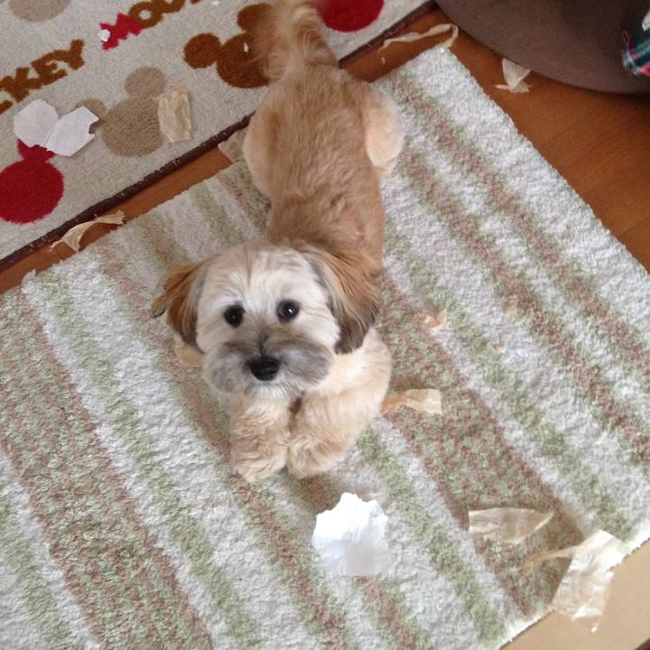 47893b59 ef73 4e00 8acb b6662f6a5848