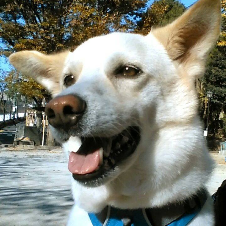 4789b6a1 23d2 41ad 869f 80f348e730c2