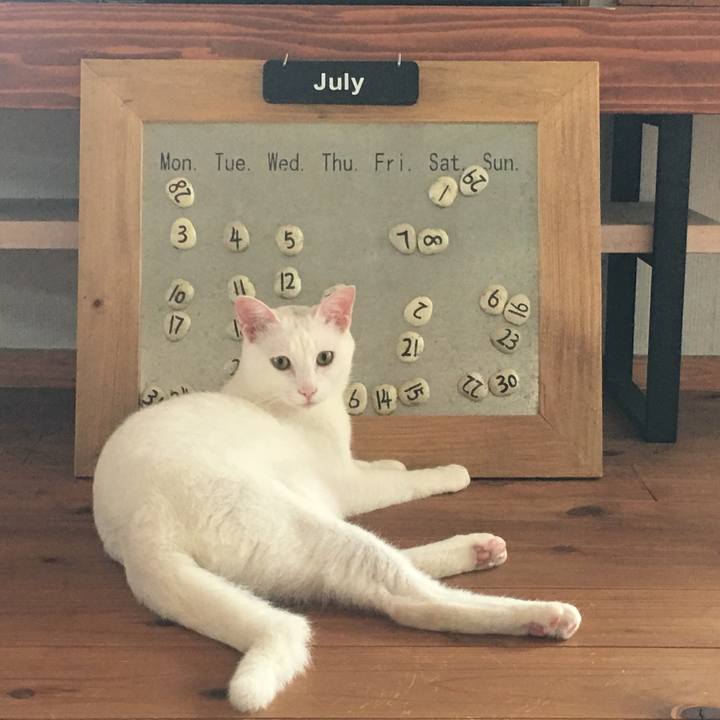 478a29dd 3553 43dd 961b 8143e36a4053