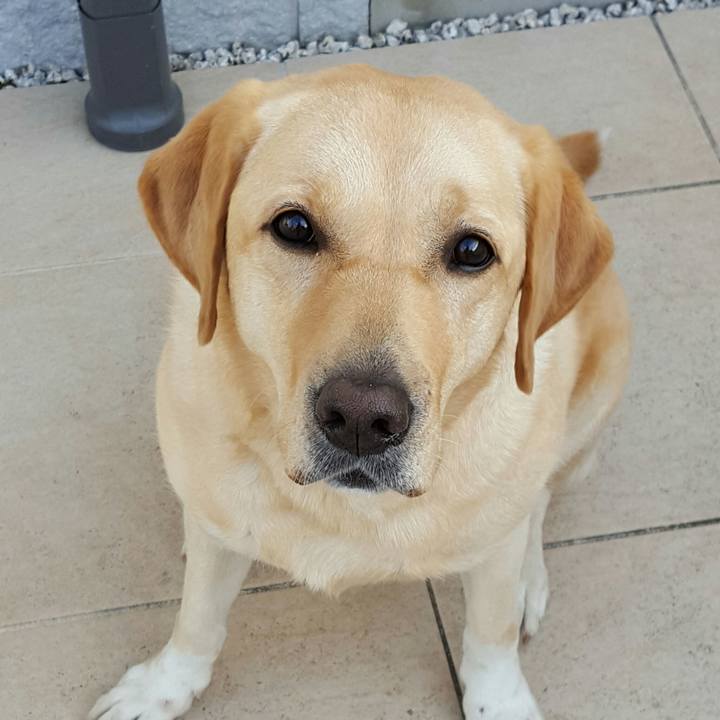 478a5a13 f7c0 4bcd b165 5b9e0b1374a9