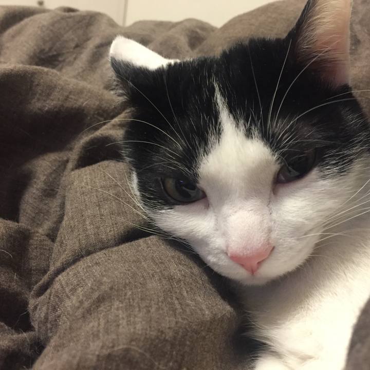 478a988a 05db 45d6 8eb1 ea0855fc3654