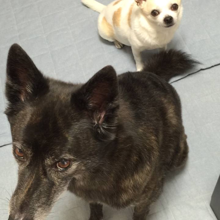 478ab978 2146 4f3a b214 7070deafeacb