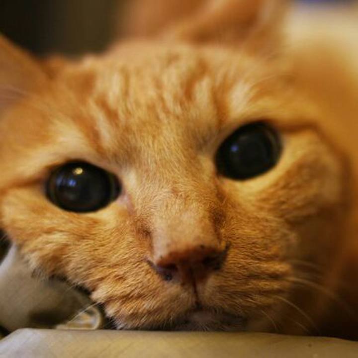 478b14de 155f 41ff 89c2 16f16fdfe293