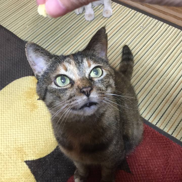 478b21cd c4e9 438c 98df 2e7802206b67