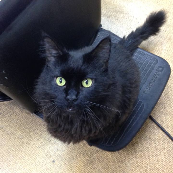 478bc9be aa98 43e0 b728 53404628f05e