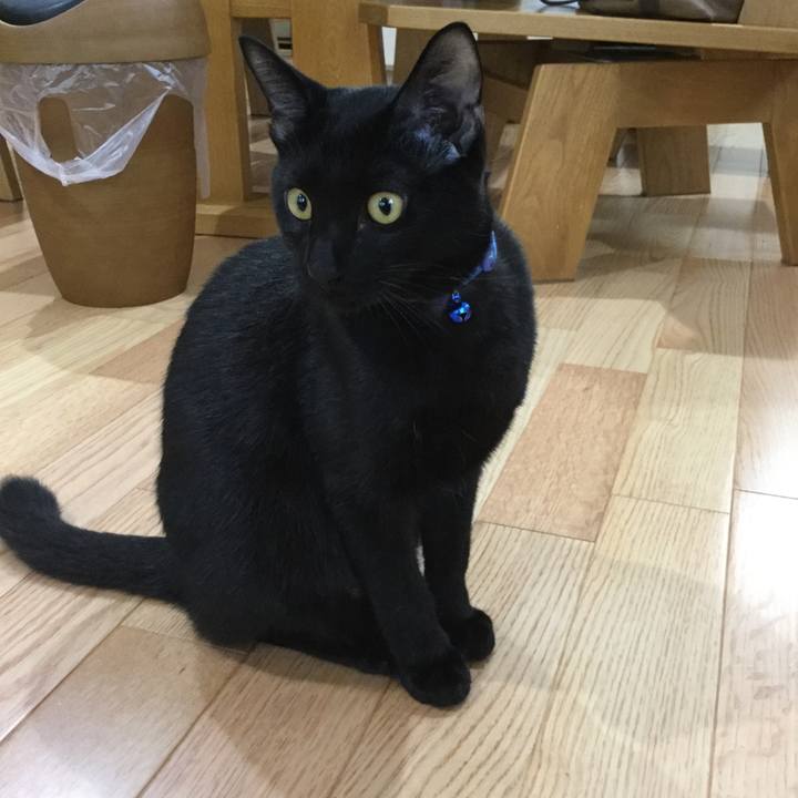 478be4e9 7401 4f46 9888 926aa3e0947b