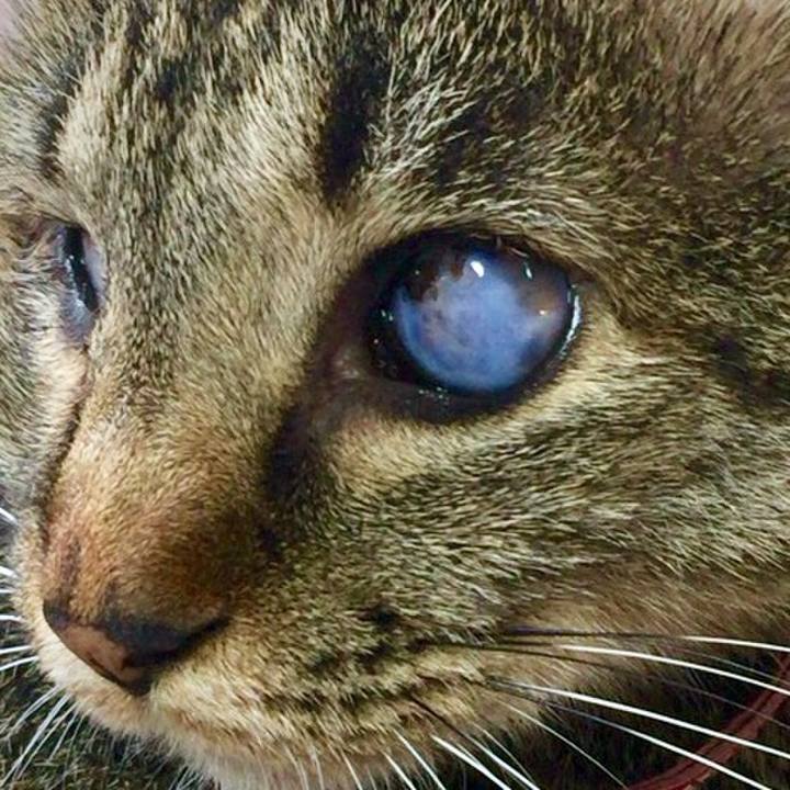 478bf106 2e19 4b7a 8876 481baa558e14