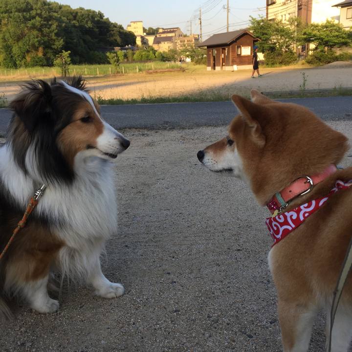 478c8530 676b 420b 9001 8e8411d80419