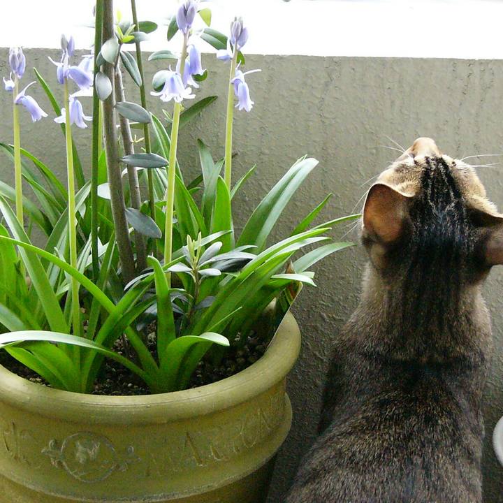 478cda97 67be 4174 81c1 58052462b382