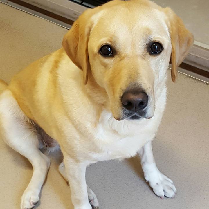 478d1133 2164 4e53 ad57 00d09b377bf2