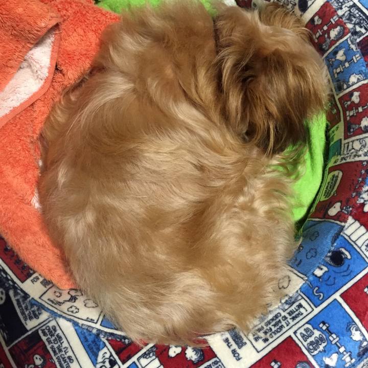 478dbd76 141e 4dd7 8a7b bed69c8bc58b