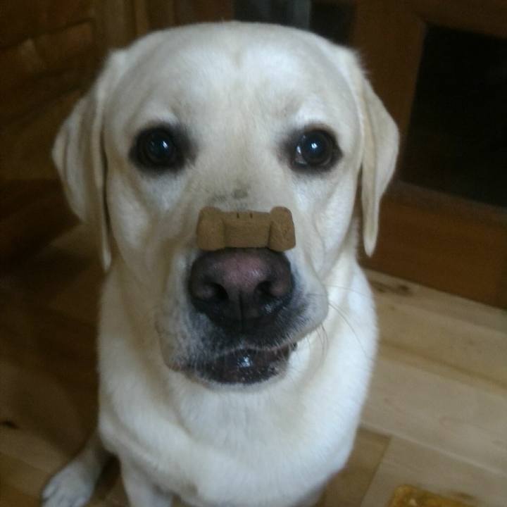 478df0ad 0e80 4b10 b54a 93308ffc893a