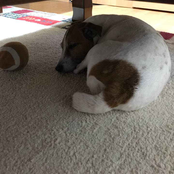 478e42d4 7670 4512 9969 565b4d52c901