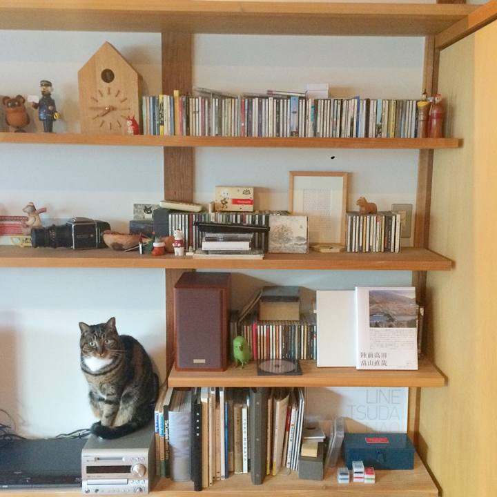 478e4598 890d 43a5 9fda a2f74d594494