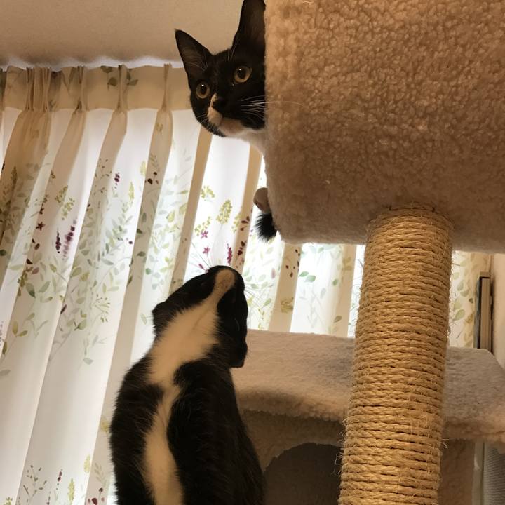 478e8d46 df7e 4fef b8f2 ee0bfd1b5c7b