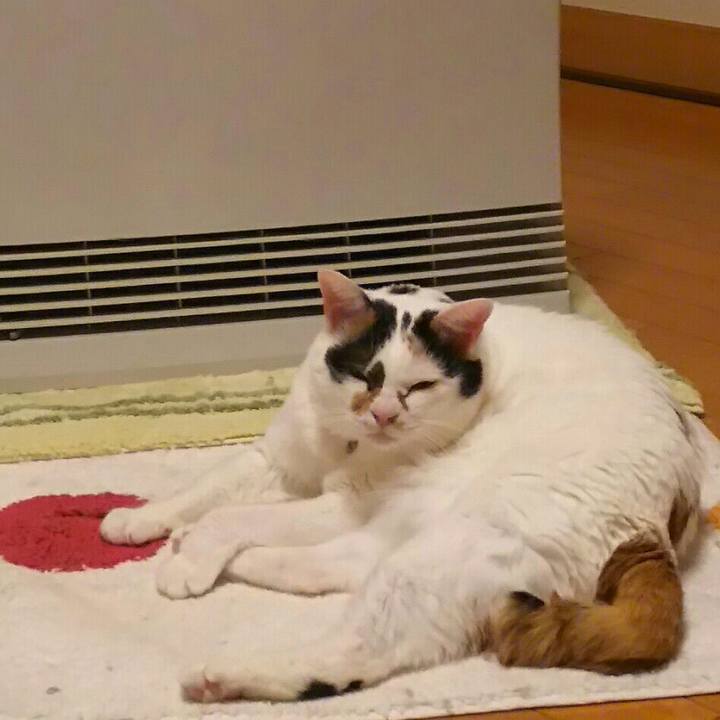 478facc7 dcb1 4da1 a9bc 76e61b07e502