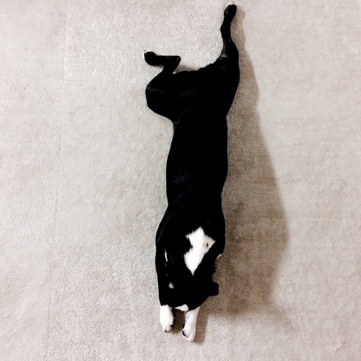 478fb4cb 3917 45db 9a64 2e5d9ee1ca07