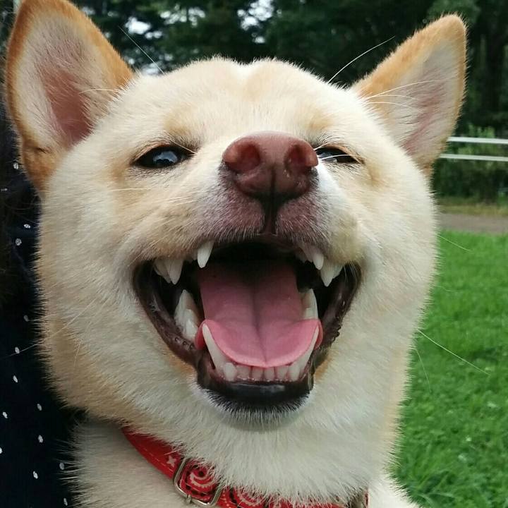 4790a65a 1037 4d57 8e4d 8ecaa88fa0da