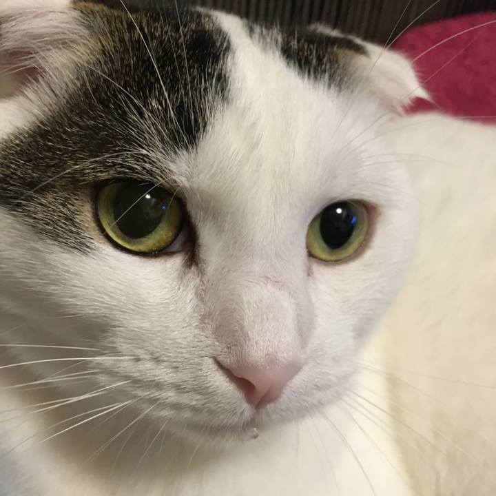 4790d2a6 a86c 446a 8118 aa8ee2527ffa