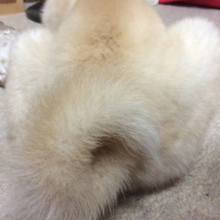 47921ab0 e535 436d aec7 602199274833