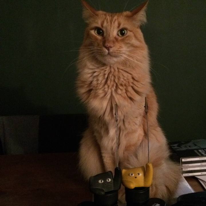 479238fb 6d9d 4430 8df4 5f47f268e4f2