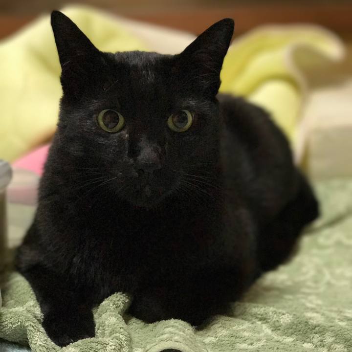 47929fca dda4 48cc bce9 6ff137117c88